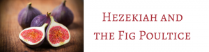 WBM_Website_BlogHeader_HezekiahFigPoultice (1)