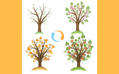 Cycles and Triggers: An Overview