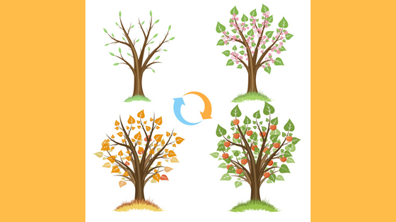 Cycles and Triggers: An Overview