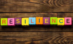 WBM_WT_Resilience