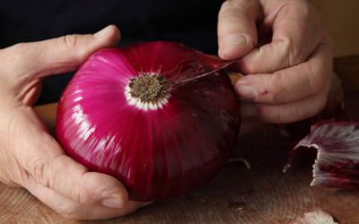 Hidden Triggers: Uncovering and Understanding