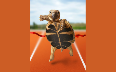 I Chased Small Wins and It’s Giving Me Freedom