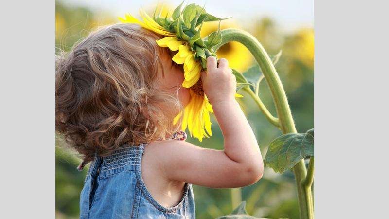 Everyday Joy Is Possible: Tips on Creating It