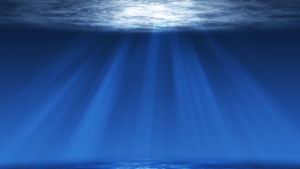 WBM_Website_BlogPosts_FeaturedImage_ExposureTherapy